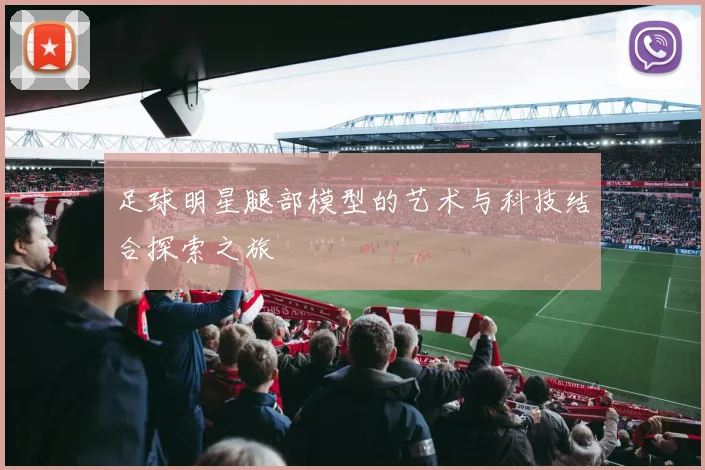 足球明星腿部模型的艺术与科技结合探索之旅