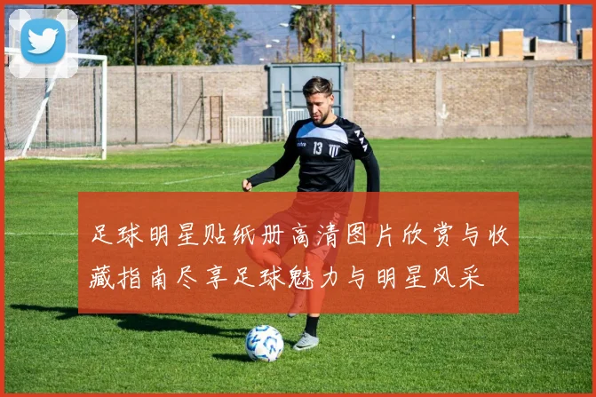 足球明星贴纸册高清图片欣赏与收藏指南尽享足球魅力与明星风采