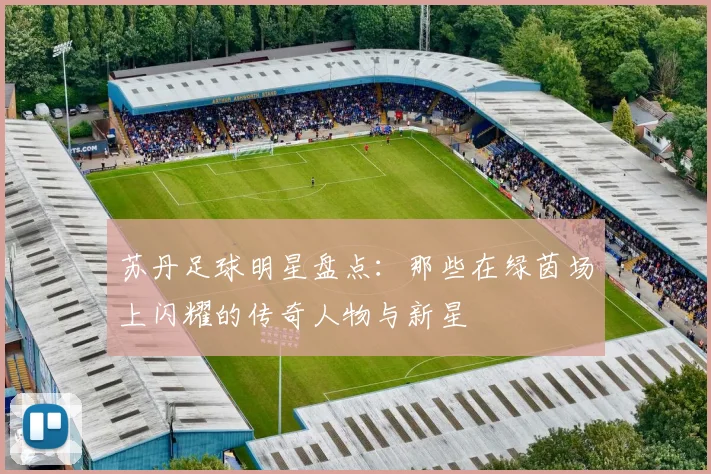 苏丹足球明星盘点：那些在绿茵场上闪耀的传奇人物与新星