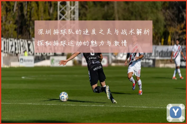 深圳排球队的速度之美与战术解析探秘排球运动的魅力与激情