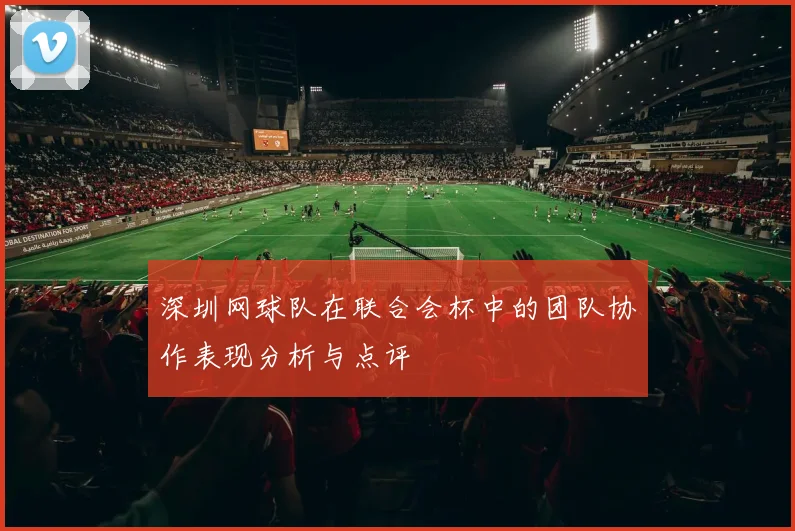 深圳网球队在联合会杯中的团队协作表现分析与点评