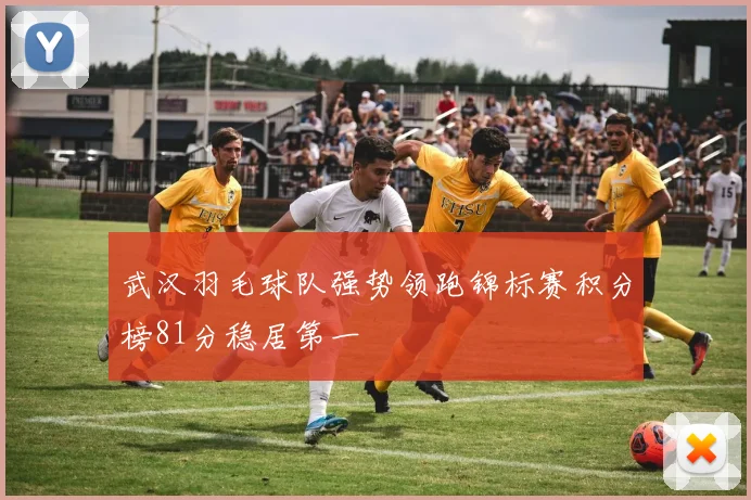 武汉羽毛球队强势领跑锦标赛积分榜81分稳居第一