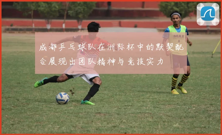 成都乒乓球队在洲际杯中的默契配合展现出团队精神与竞技实力