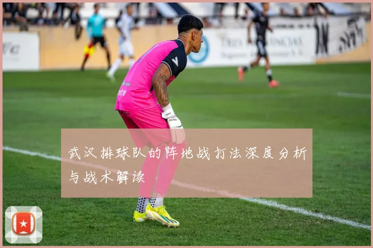 武汉排球队的阵地战打法深度分析与战术解读