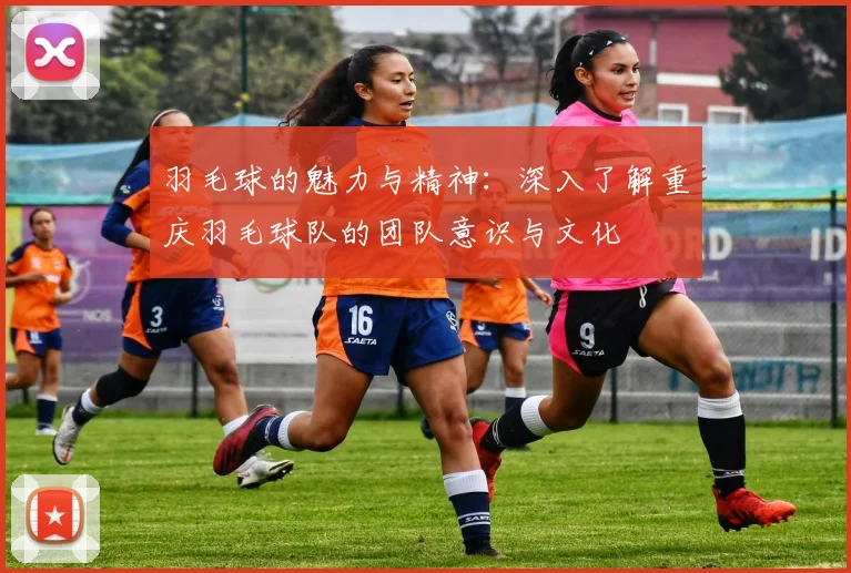 羽毛球的魅力与精神：深入了解重庆羽毛球队的团队意识与文化