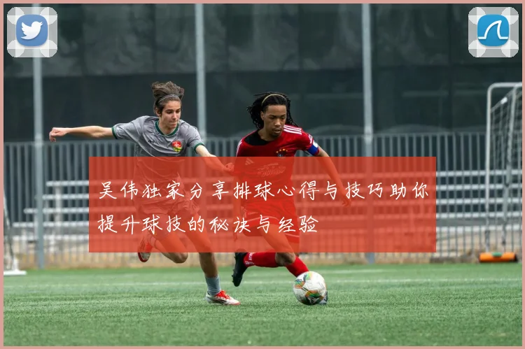 吴伟独家分享排球心得与技巧助你提升球技的秘诀与经验